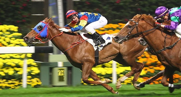 Đua Ngựa 88Goals: Trải Nghiệm Cá Cược Thể Thao Đỉnh Cao 3 Đua Ngựa 88Goals: Trải Nghiệm Cá Cược Thể Thao Đỉnh Cao